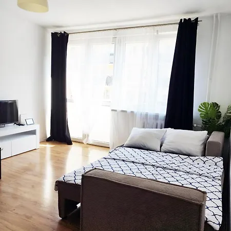 Rynek Golden By Grafit